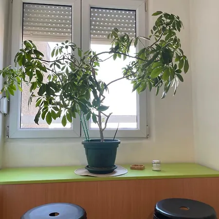 Boulevard1 * Bukorovac